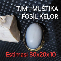 Batu Fosil Kelor Warna Putih Susu Super Kristal Estimasi 30x20x10  Dijamin 100% Asli Banten