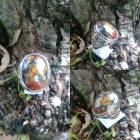 MULTYCOLOR KEMBANG WARNA SEGER JRENG