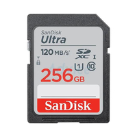 SD Card Ultra Class 10 SanDisk SDSDUN4_256G_GN6IN