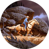 TIRE COVER CENTRAL Cowboy Horse Desert Canyon Spare Tire Cover ( Custom Sized to Any Make/Model for 285/70R17