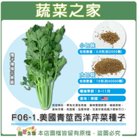 【蔬菜之家】F06-1.美國青莖西洋芹菜種子 (共兩種包裝可選)