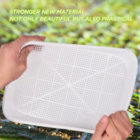 Microgreens Sprouter Tray Hydroponic / Sprouting Tray For Sprout Horticultural Hydroponic Systems Tray Garden Nursery Potted