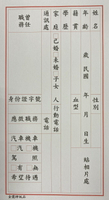 金鷹 履歷表 (48K) (10張入)