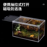 免運開發票 爬寵飼養盒透明亞克力一體免組裝寄居蟹飼養缸蝎子蛇昆蟲生態箱-快速出貨