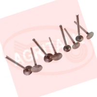 Set of intake and exhaust valves kit for Yituo YTO engine LR4M5-23 / LR4B5-22 ，Part number: R.010001Y + R.010019YA