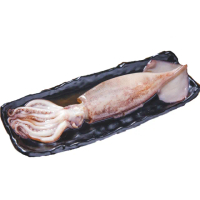 【上野物產】台灣產 鮮凍生鮮魷魚冰捲6隻(250g±10%/隻)