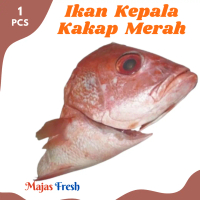 KEPALA IKAN KAKAP MERAH Segar - Ikan Kepala Kakap Merah Fresh | 1 Pcs - Size Kecil [ Harga Per PCS ]