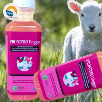 Probiotik Penghilang Bau Kotoran Domba Kambing  PRONITRO UNGGAS 250 ml