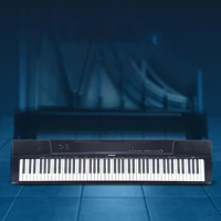 Synthesizer Portable Professional Piano Synthesizer Electronic Digital Piano 88 Key Weighted Piano Infantil Electronic Organ