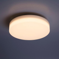 MARCH LED 22W月禾吸頂燈 壁燈 牆燈 IP55 防水 防塵 陽台浴室走廊玄關 適用1-2坪 好商量~
