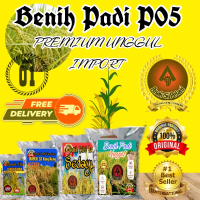 Benih Padi P05 PREMIUM UNGGUL IMPORT (5KG) bibit pohpohan Tanaman Kuning