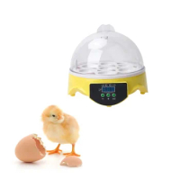 7 Intelligent Home Egg Incubator Small Mini Incubator Equipment Egg Incubator