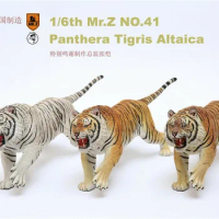 Mr.Z 1/6 Siberian Tiger Figure Animal Panthera Tigris Altaica Model Resin Toy Desktop Ornaments Decoration Dolls Adults Gifts