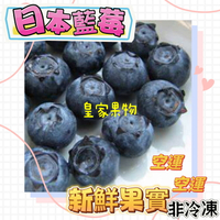 日本空運新鮮藍莓/當季現採/原裝6盒/原裝12盒/6入精緻禮盒裝【皇家果物】低溫免運