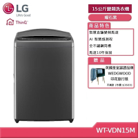 LG樂金 15公斤 AI DD  直驅變頻直立洗衣機(曜石黑) WT-VDN15M(獨家送好禮)