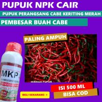 PROMO PUPUK CABE KERITING MERAH PANJANG MKP CAIR NEW obat pembesar buah cabe keriting merah obat cai