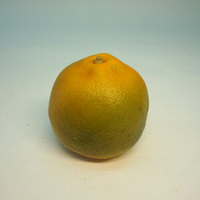 《食物模型》POLY橘子(大) - 水果模型 - BP1017