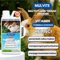 MULVITE Vitamin Probiotik Vitamin Suplemen Kelinci Hias Anggora Fuzzy Lop Holland Netherland Dwarf K