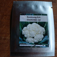 Bibit Benih Kembang Kol Diamond
