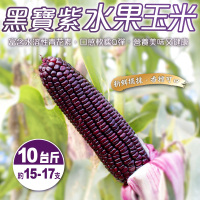 【WANG 蔬果】黑寶紫水果玉米10斤x1箱(農民直配)