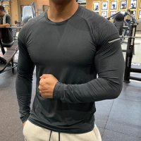 Men's Sports Compression T-shirts Autumn Long Sleeve Tops Elastic Shaper Slim T Shirts Male Running Gym Sportwear Fitness Tshirt
