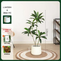 模擬綠植物盆栽天鵝絨巴西木高階輕奢北歐風室內客廳落地裝飾擺件