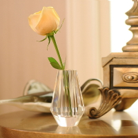 創意個性花器花瓶花插擺件 迷你水晶小花瓶 餐桌窗臺裝飾