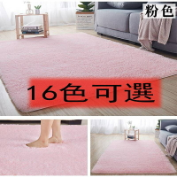 絲毛地毯 16色可選 可客製化 純色加厚門廳客廳臥室床邊家居絲毛地毯 地墊門墊滿鋪地毯