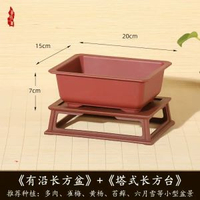 全城熱賣 - 梅花花盆樹脂長方形花盆家用花盆仿紫砂陶瓷多肉花盆塑膠花盆盆景絳紫色【20*15*7.3】+塔式長方臺樹脂5個裝