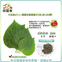 【綠藝家】大包裝A77-1.韓國芝麻葉種子5克(約1350顆)