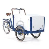 36V 250W Electric Cargo Bike With Front Wood Box 3 Wheel Bicycle For Sale