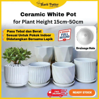 Viral Malaysia Ceramic Pot For Plant White Pot Flower Pot Ceramic White Pot Decorative Flower Pot Ce