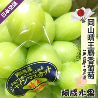 【阿成水果】日本空運岡山晴王麝香葡萄(1串/600g/盒)