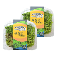 【合家歡 水耕蔬菜】綜合生菜100g x 2盒裝(宅配 水耕 萵苣 生菜)