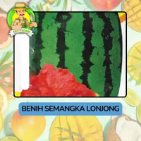 Benih Buah Buahan Bibit Biji Tanaman Organik Semangka Lonjong