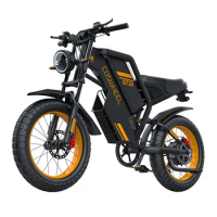Electric bike 1500W Motor Removable 48V25AH Battery Mountain bikes Electric Dirt Bike 20Inch Fat Tire Motorcycle Full Suspension