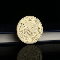 海灣戰爭紀念章 沙漠暴風行動軍事徽章鍍金幣收藏戰爭硬幣小禮品