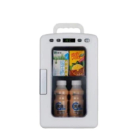 10L Car household portable mini personal makeup skincare cosmetic beauty fridge Refrigerators Ultra Quiet Cooling Box Fridge