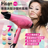 Pingo 台灣品工 專業美髮沙龍吹風機M2