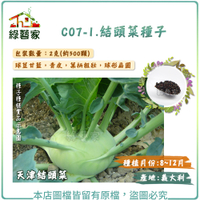 【綠藝家】C07-1.結頭菜種子2克(約500顆)