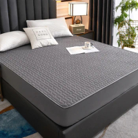 Waterproof Thickened Mattress Cover Skin-friendly soft bed sheet Bedspreads Latex mattress cover