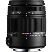Sigma 18-250mm F3.5-6.3 DC Macro OS HSM Lens for Nikon D3300 D3200 D3100 D5300 D5200 D5100 D90 D7000 D7100 D300 D60