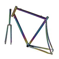 titanium road bike frame with fork in anodized rainbow color can be customized