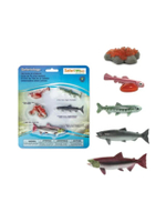 LIFE CYCLE OF A SALMON