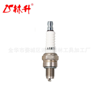 +NEW Lin Sheng A5RTC Spark Plug Champion 808/Z9Y for Honda GX31 GX100