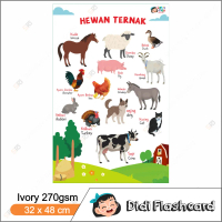 Poster Hewan Ternak - Poster Belajar Edukasi Anak Bilingual Animal