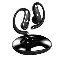 Monster ENC+AI智能真無線藍牙耳機 D01 黑色 全港免運