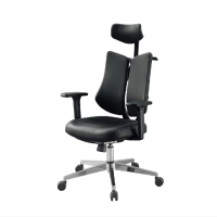 【RICHOME】克里門雙背人體工學椅/電腦椅/工作椅/辦公椅/主管椅(曲線厚實坐墊)