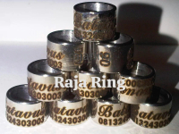 Ring Baja Laser Steenlies 25 Cincin untuk Ring Kenari Perkutut Lovebird Murai Merpati dll Grafir La
