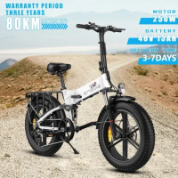 20-inch Fat Tire Folding Bike 48V13AH Lithium Battery Mountain E Bike Adult 250W Motor 7-speed Aluminum Alloy Electric Bicycle